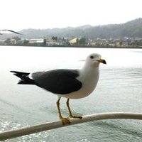 ちえぞう@ダブルケアラー