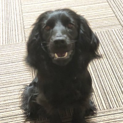 bellesuzu（ベルすず）