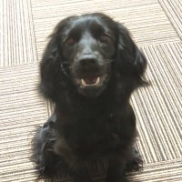 bellesuzu（ベルすず）