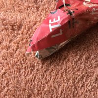 ムカシオナガザル